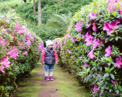 Park Ribeira da Guilherme