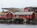 Rorbuer in Reine