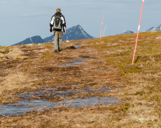 Hochmoor