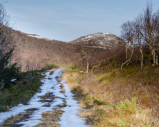 Waldweg zum Veten
