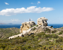 Kamel am Cap de Creus