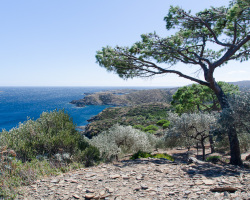 Buchten am Cap de Creus