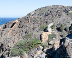 Schildkröte am Cap de Creus