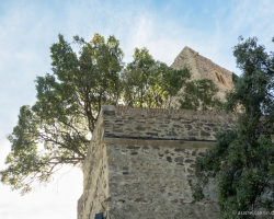 Burgblick