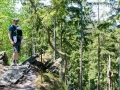 Ausblick am Eifelsteig