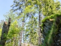 Aufstieg auf dem Eifelsteig