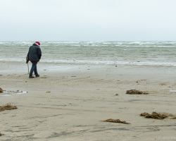 Bernsteinsucher am Strand von Fanø