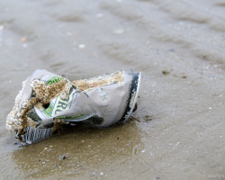 Tuborg-Dose am Strand von Fanø