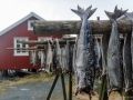 Stockfisch in Å