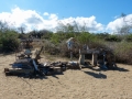 Floreana: Post Office Bay