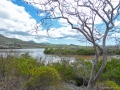 Floreana: Punta Cormorant