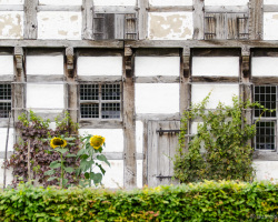 Fachwerkhaus Detail