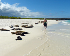 Galapagos-Traumstrand