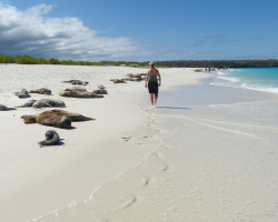 Strandspaziergang