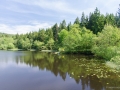 Vorbecken der Dreilägerbachtalsperre