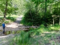 Furt durch den Dreilägerbach