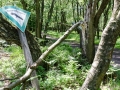 Naturschutzgebiet