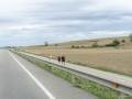 Jakobsweg von Logroño nach Burgos