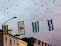 Vögel über Killarney