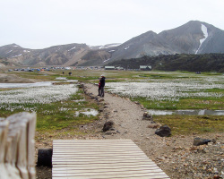 Blick auf den Zeltplatz in der Landmannalaugar. Wir brechen auf zu einer kleinen Tageswanderung in die Umgebung.
