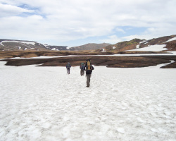 Schneefelder
