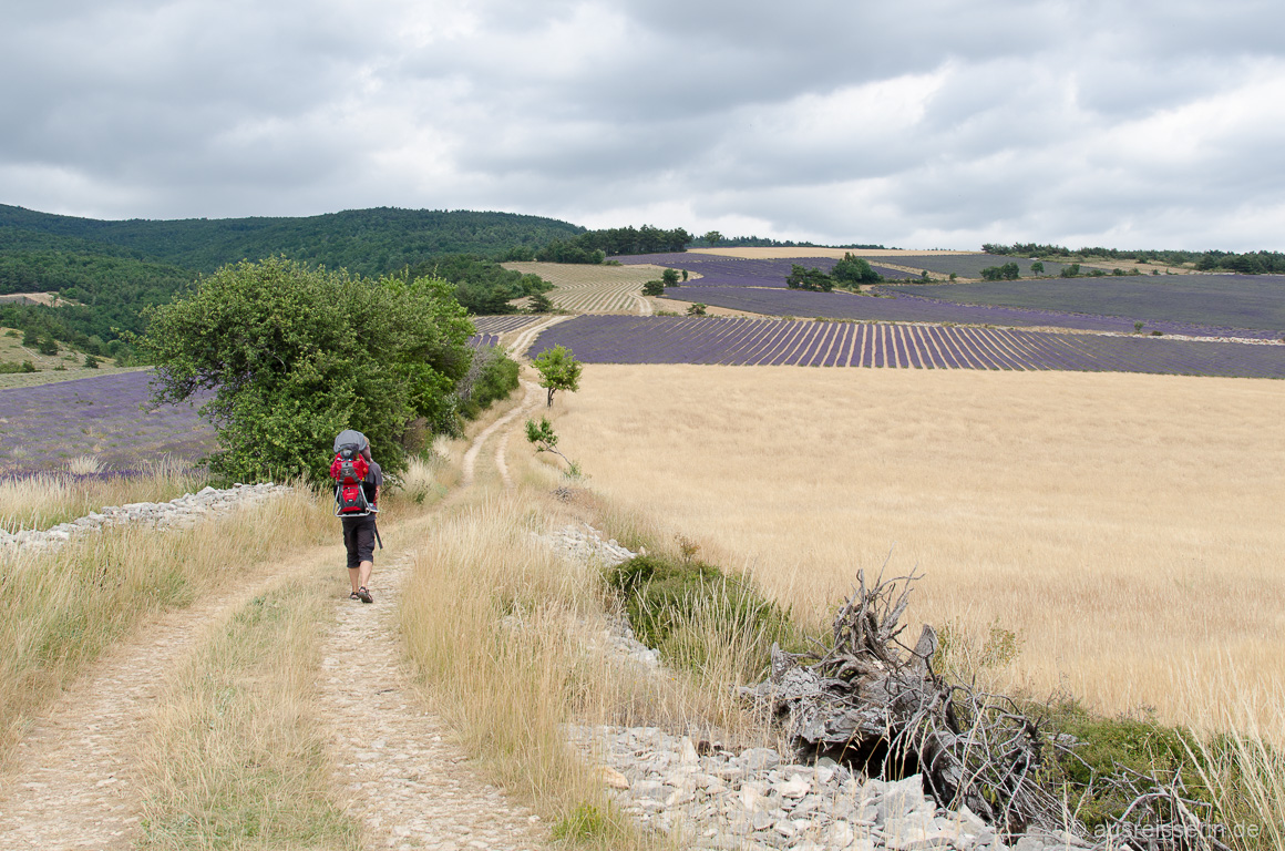 Lavendelweg in Ferrassières