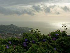 Aussicht auf die Küste