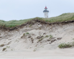 Lyngvig Fyr hinter den Dünen