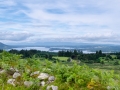 Ausblick auf den Killarney Nationalpark