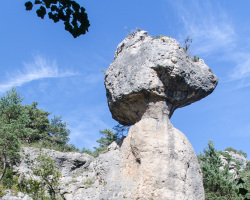 Roc Camparolie