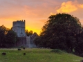 Muckross Abbey in der Abendsonne