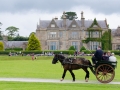 Pferdekutsche vor dem Muckross House