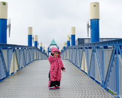 Brücke zum Aussichtsturm