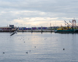 Norddeich Hafen