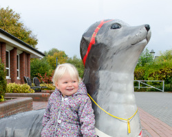 Lotta und die Robine