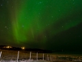Streuendes Nordlicht