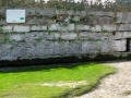 Quellbecken der Pader
