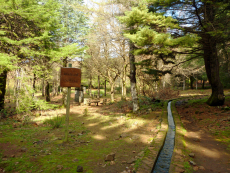 Picknickplatz an den Fontes Ruivas