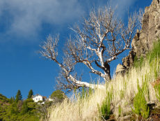 Blick auf die Hütte