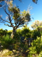 Picknickplatz
