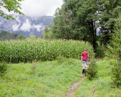 Oesterreich-Tirol-Vomperbach-Planetenlehrpfad-Wiese