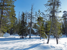 Winterlandschaft
