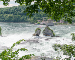 Rheinfall-Felsen