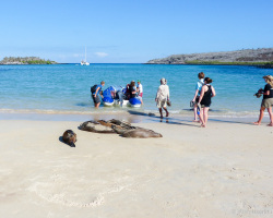 Wetlanding auf Santa Fé