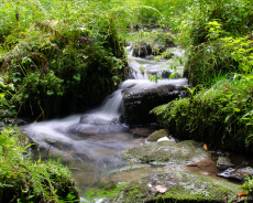 Silberbachtal Wasserfall