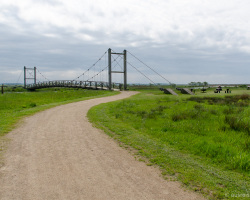 Brücke über die Skjern Å