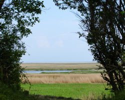 Blick auf das Marschland