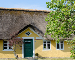 Reetdachhaus