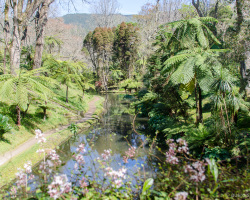 Terra Nostra Park