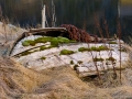 Altes Holzboot